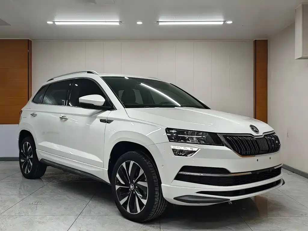 Skoda Karoq 2022 из CN, фото 6