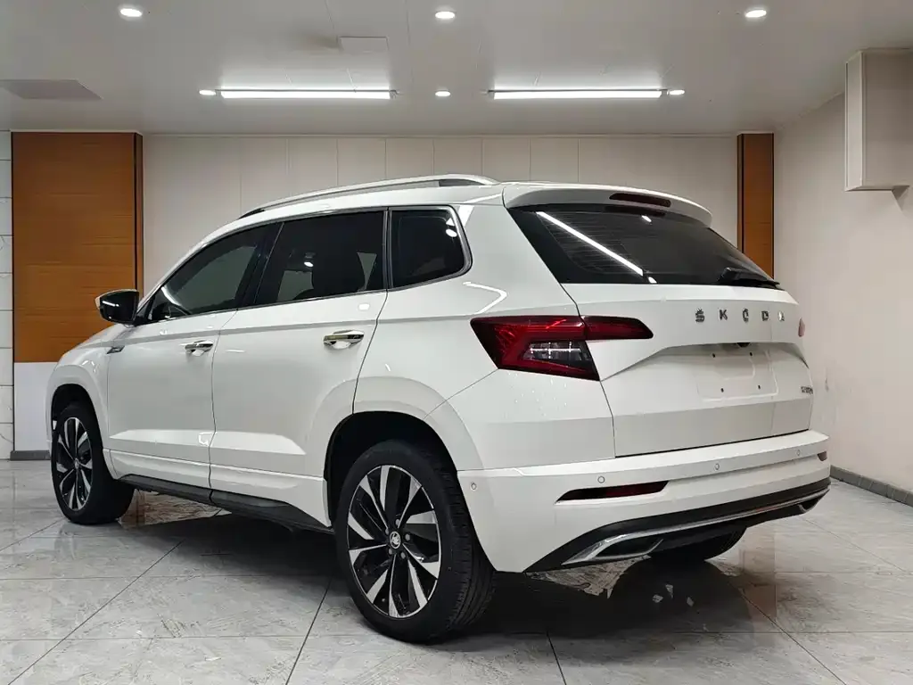 Skoda Karoq 2022 из CN, фото 5
