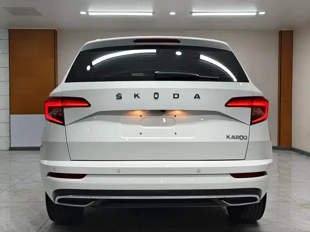 Skoda Karoq 2022 из CN, фото 2