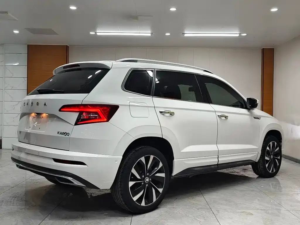 Skoda Karoq 2022 из CN, фото 10