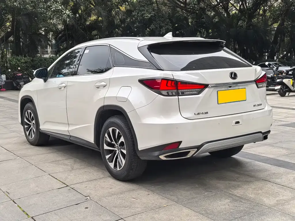 Lexus RX 2021 из CN, фото 6