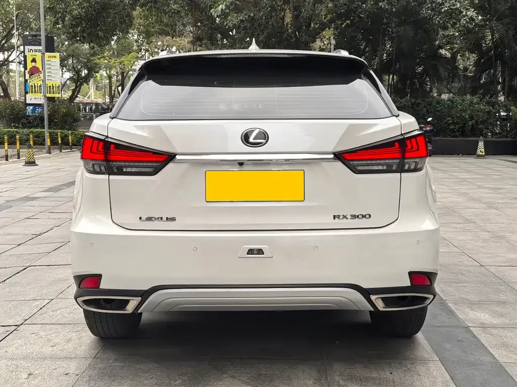 Lexus RX 2021 из CN, фото 5
