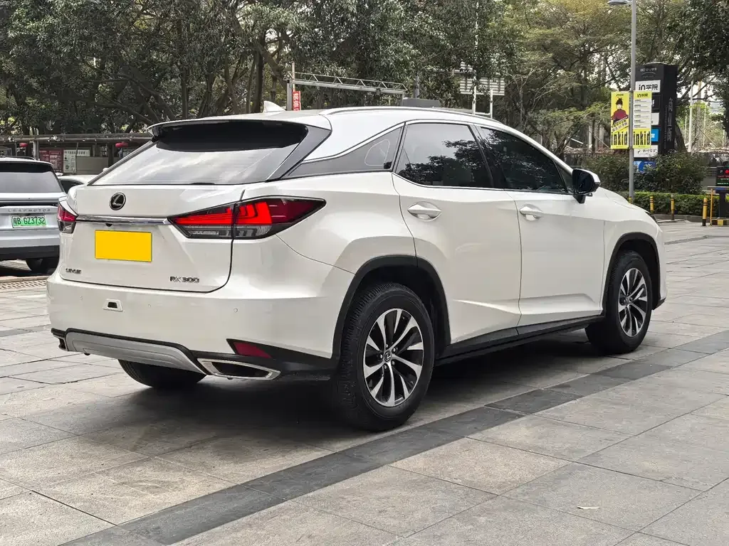 Lexus RX 2021 из CN, фото 8