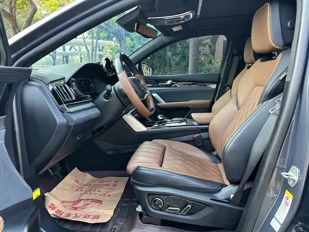 BYD Tang New Energy 2022 из CN, фото 10