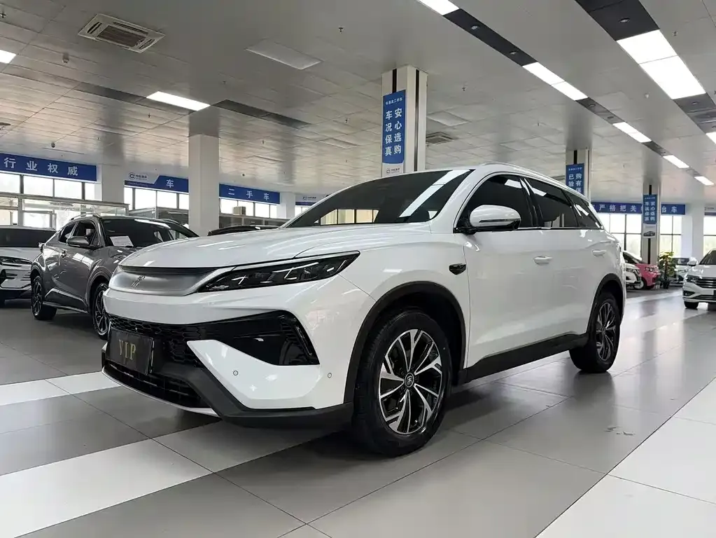 BYD Pro New Energy 2025 из CN, фото 1