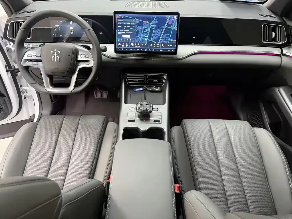 BYD Pro New Energy 2025 из CN, фото 10