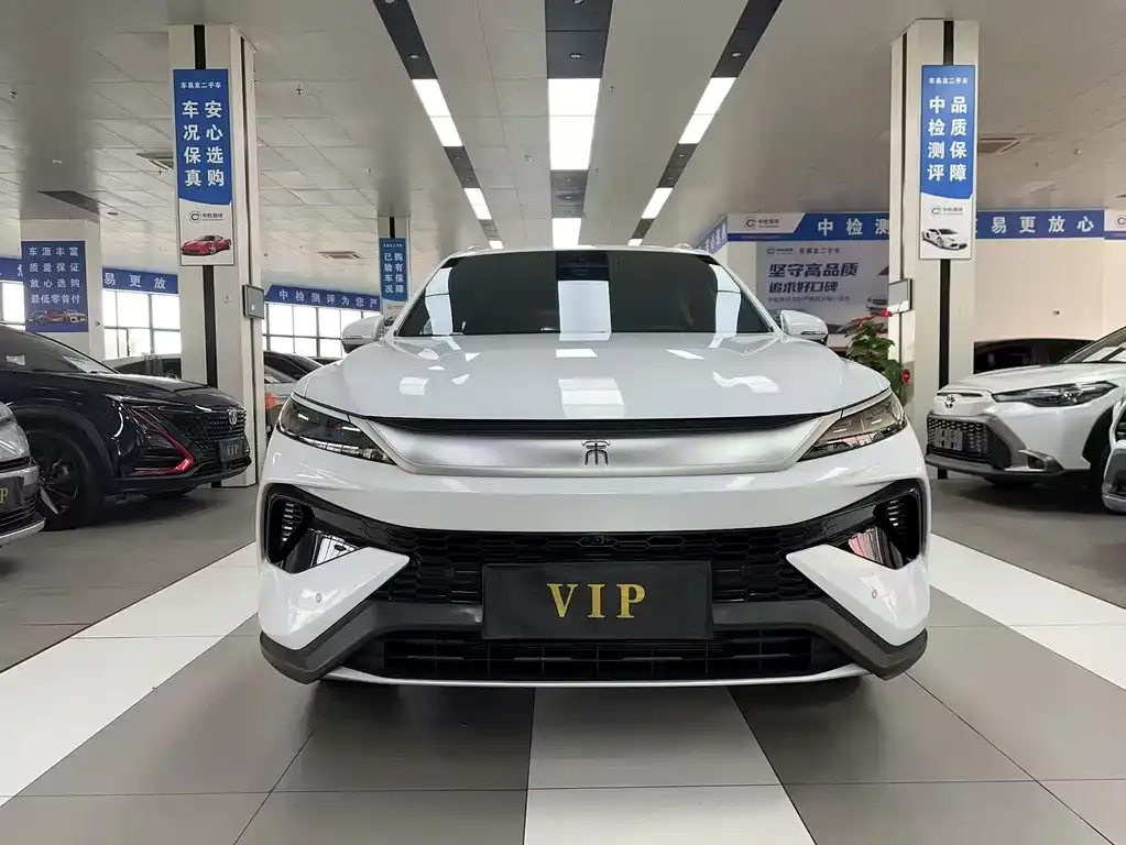 BYD Pro New Energy 2025 из CN, фото 3