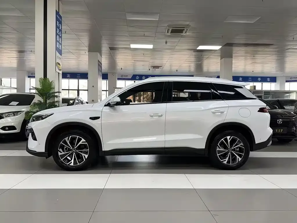 BYD Pro New Energy 2025 из CN, фото 5