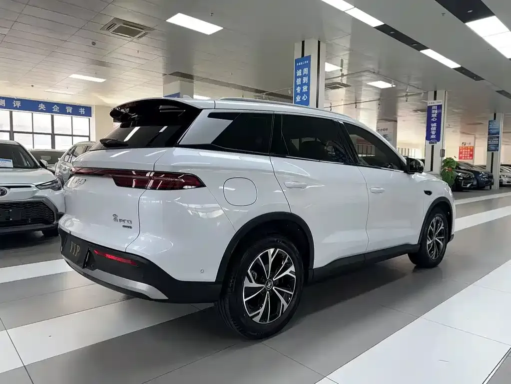 BYD Pro New Energy 2025 из CN, фото 7
