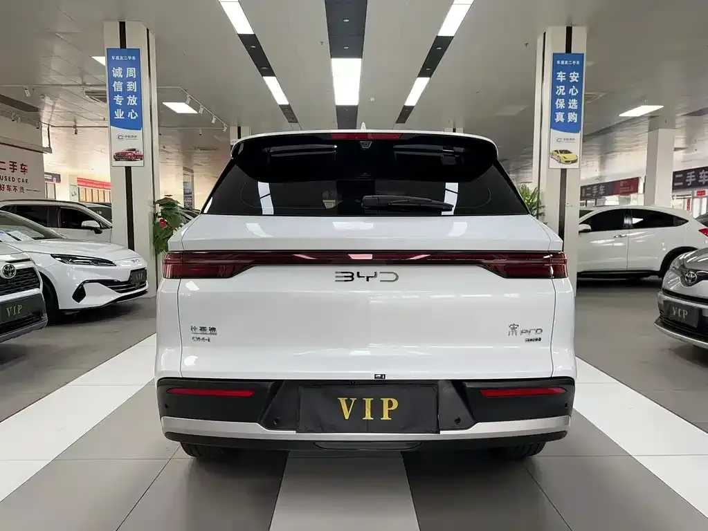 BYD Pro New Energy 2025 из CN, фото 8