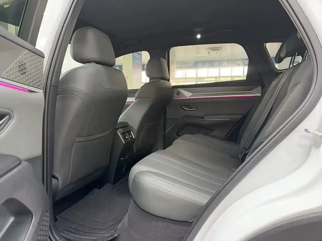 BYD Pro New Energy 2025 из CN, фото 6
