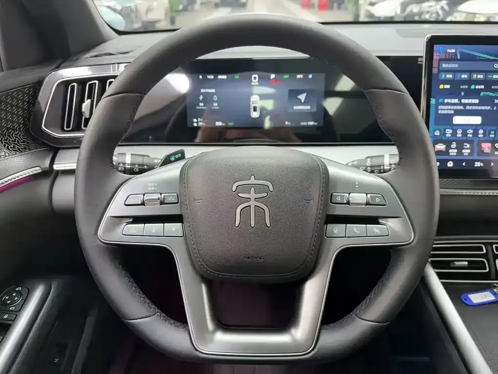 BYD Pro New Energy 2025 из CN, фото 9