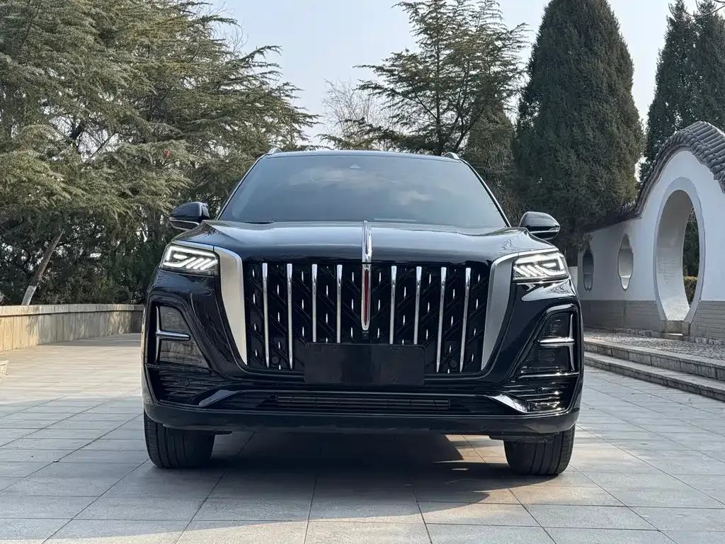 Hongqi HS5 2024 из CN, фото 10