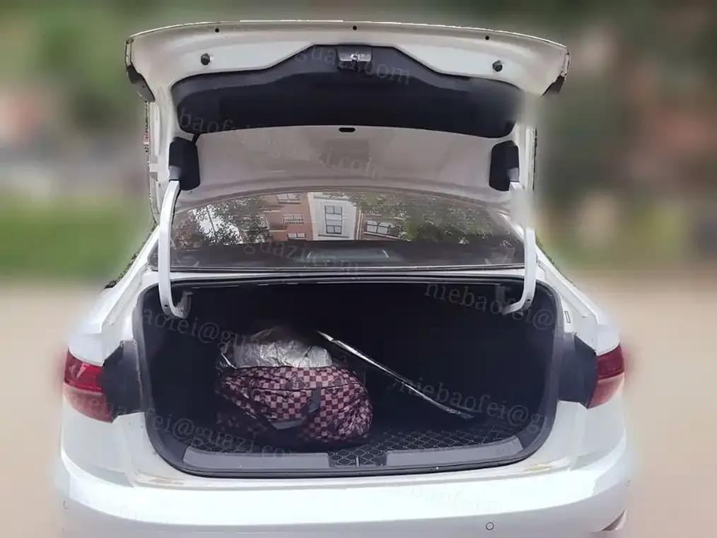 Volkswagen Sagitar 2021 из CN, фото 7