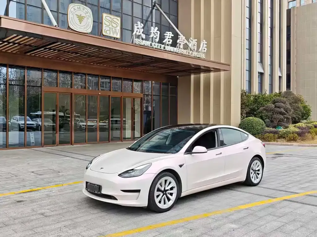 Tesla Model 3 2021 из CN, фото 1