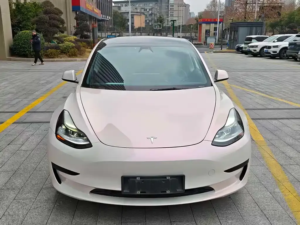 Tesla Model 3 2021 из CN, фото 6