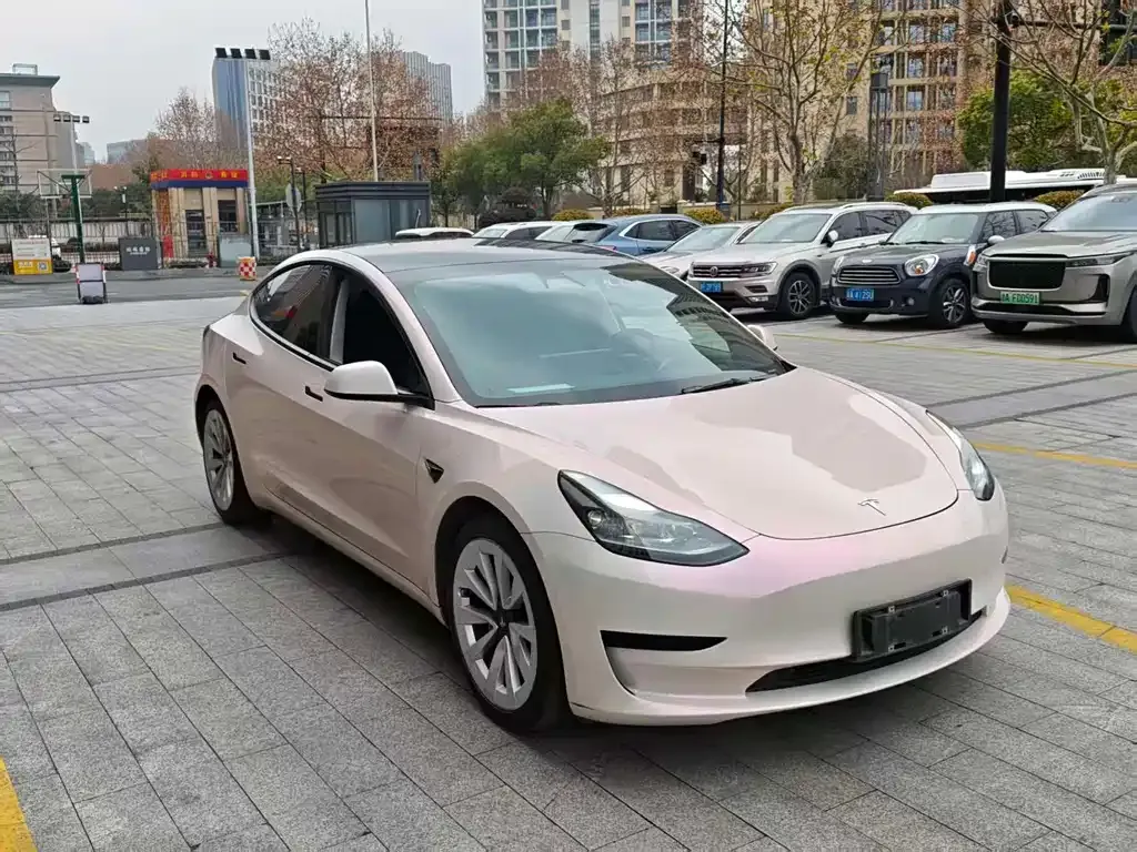 Tesla Model 3 2021 из CN, фото 7