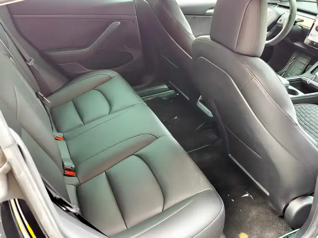 Tesla Model 3 2021 из CN, фото 5