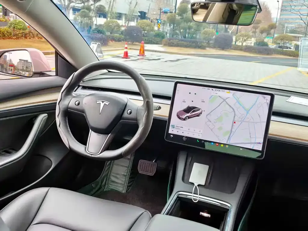 Tesla Model 3 2021 из CN, фото 4