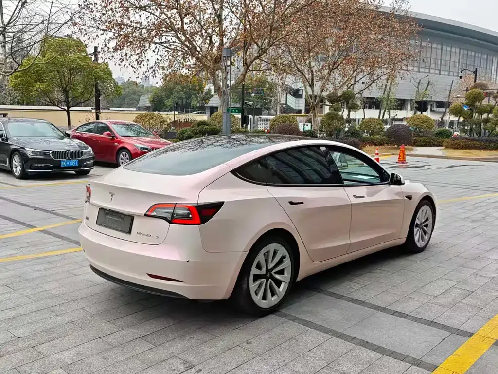 Tesla Model 3 2021 из CN, фото 2