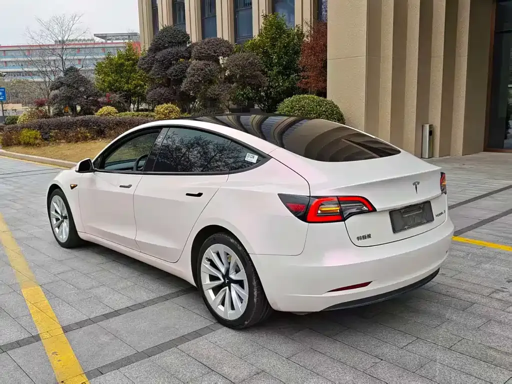Tesla Model 3 2021 из CN, фото 3
