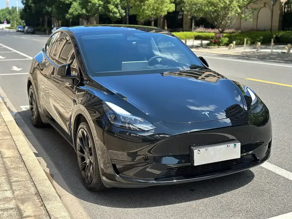 Tesla Model Y 2023 из CN, фото 7