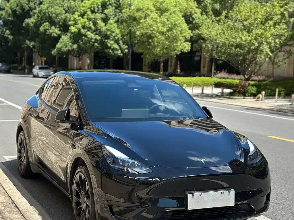 Tesla Model Y 2023 из CN, фото 8