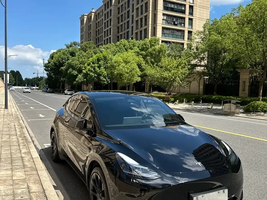 Tesla Model Y 2023 из CN, фото 9