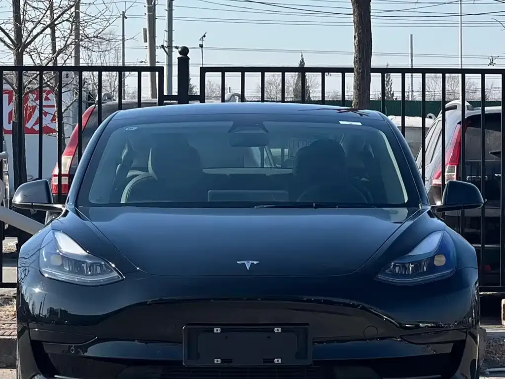 Tesla Model 3 2021 из CN, фото 1