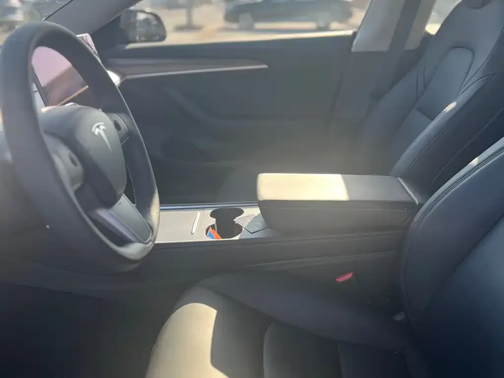 Tesla Model 3 2021 из CN, фото 2