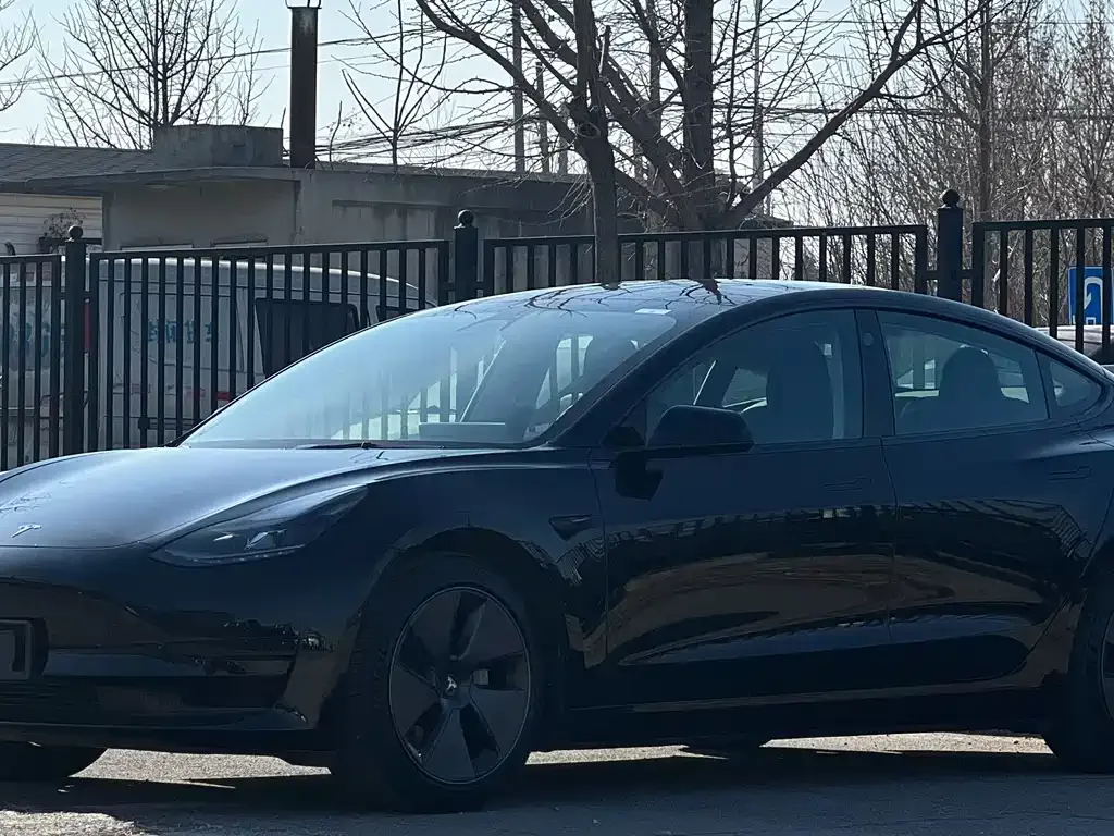 Tesla Model 3 2021 из CN, фото 5
