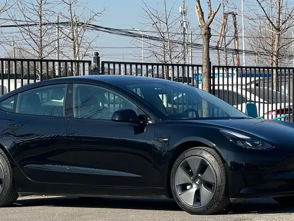Tesla Model 3 2021 из CN, фото 8