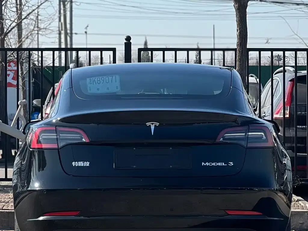 Tesla Model 3 2021 из CN, фото 4