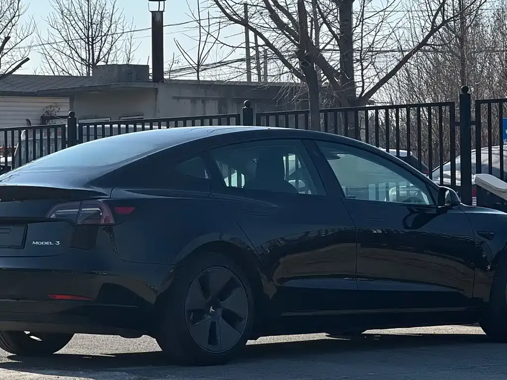 Tesla Model 3 2021 из CN, фото 9