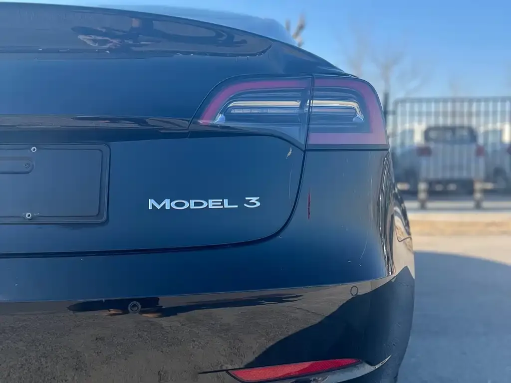 Tesla Model 3 2021 из CN, фото 3