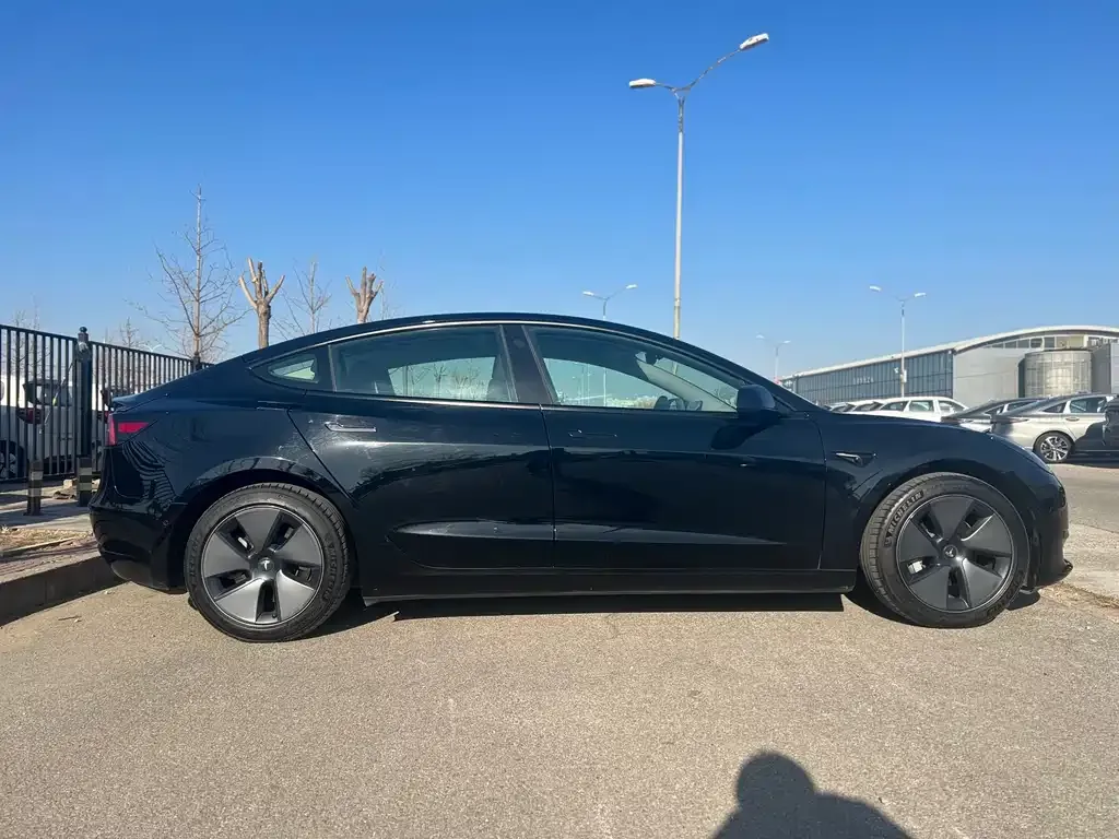 Tesla Model 3 2021 из CN, фото 7