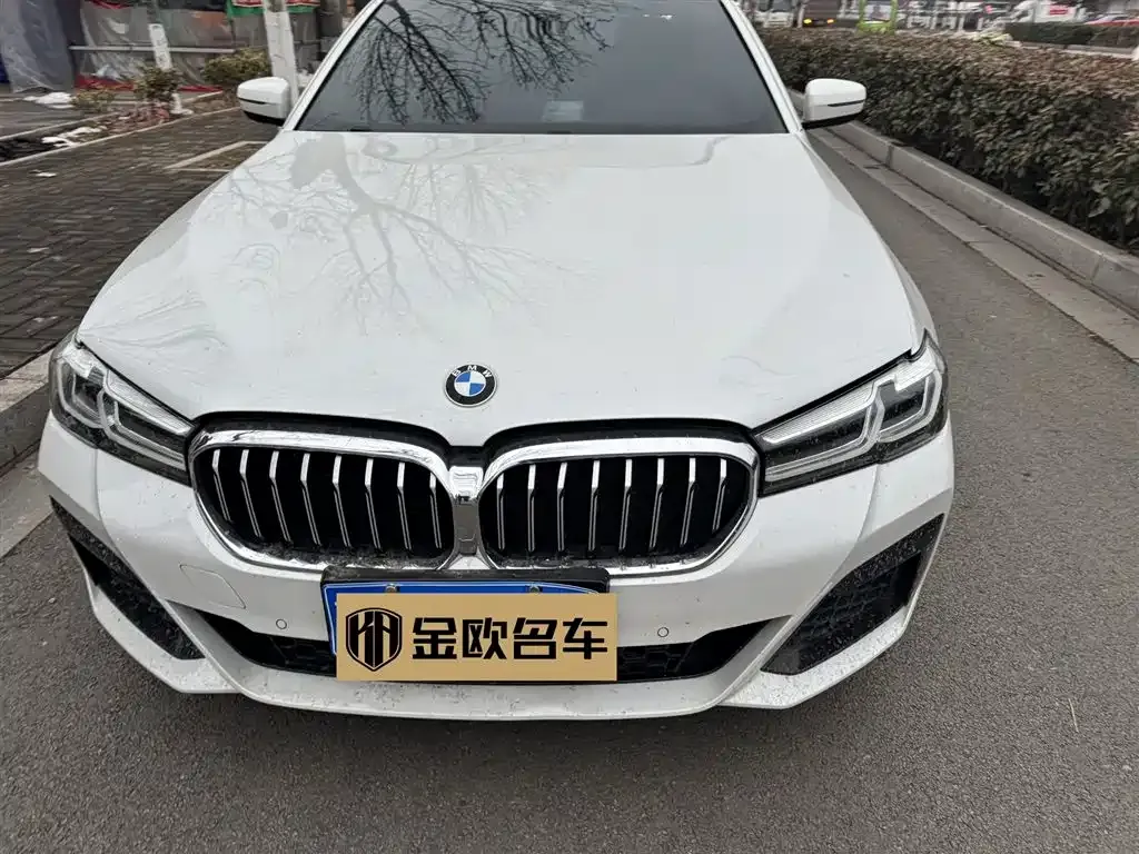 BMW 5 Series 2021 из CN, фото 1