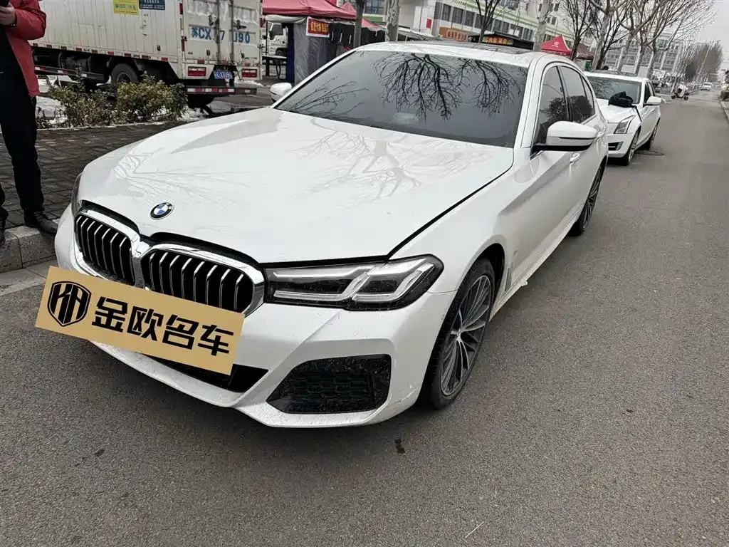 BMW 5 Series 2021 из CN, фото 8