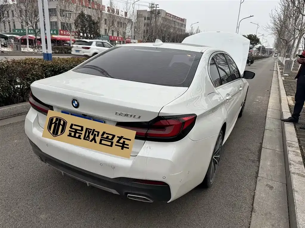 BMW 5 Series 2021 из CN, фото 6