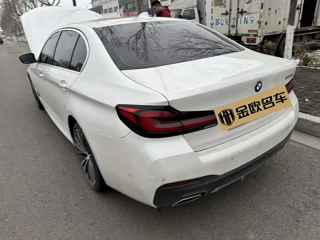 BMW 5 Series 2021 из CN, фото 3