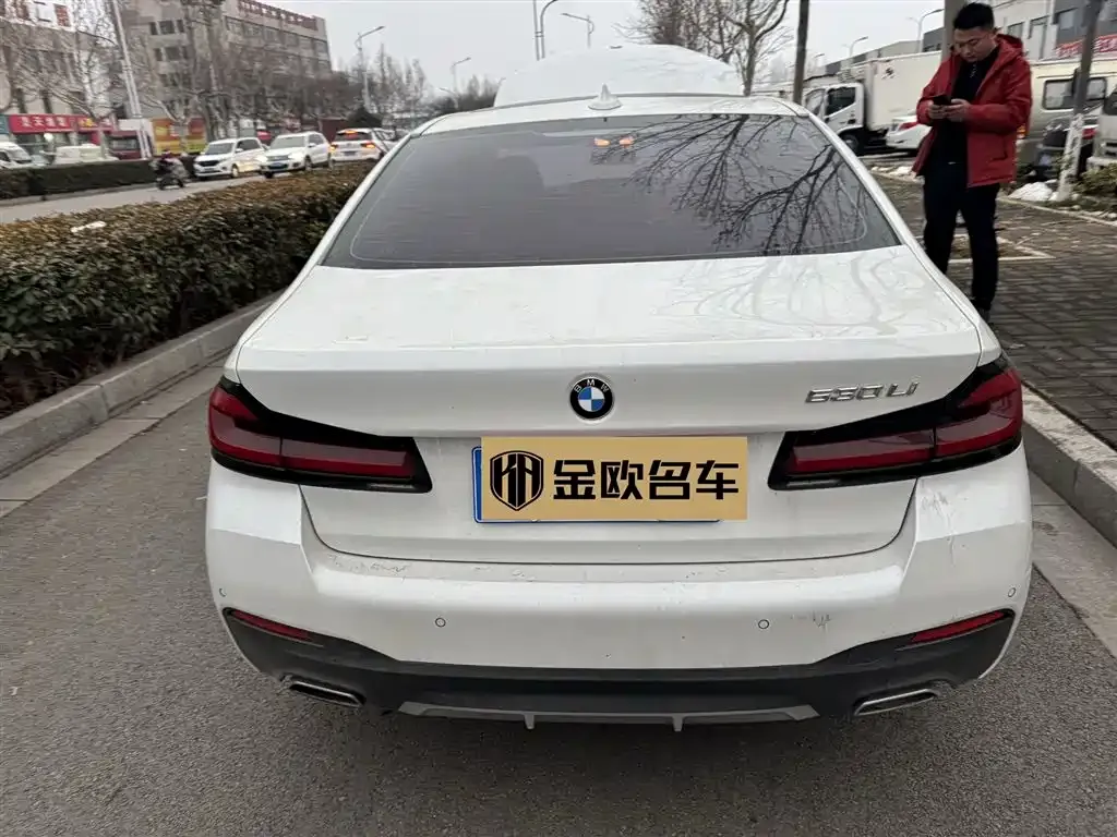 BMW 5 Series 2021 из CN, фото 5
