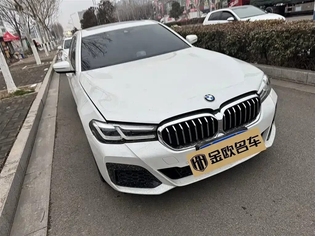 BMW 5 Series 2021 из CN, фото 7