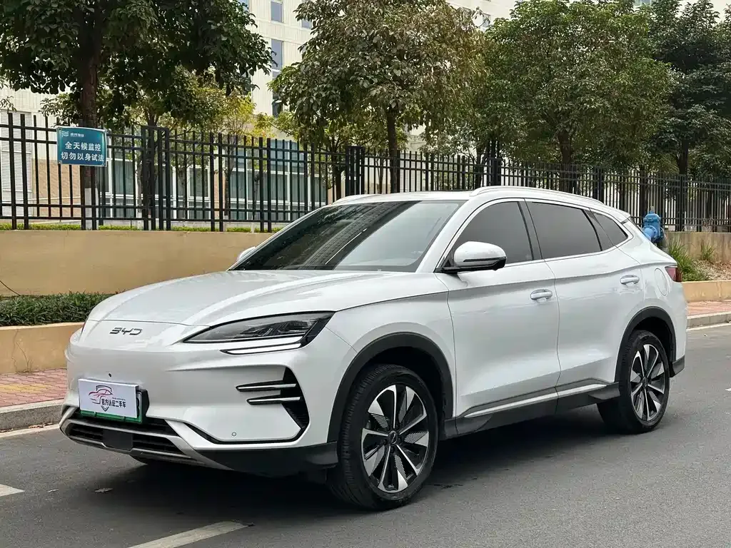 BYD PLUS New Energy 2024 из CN, фото 1