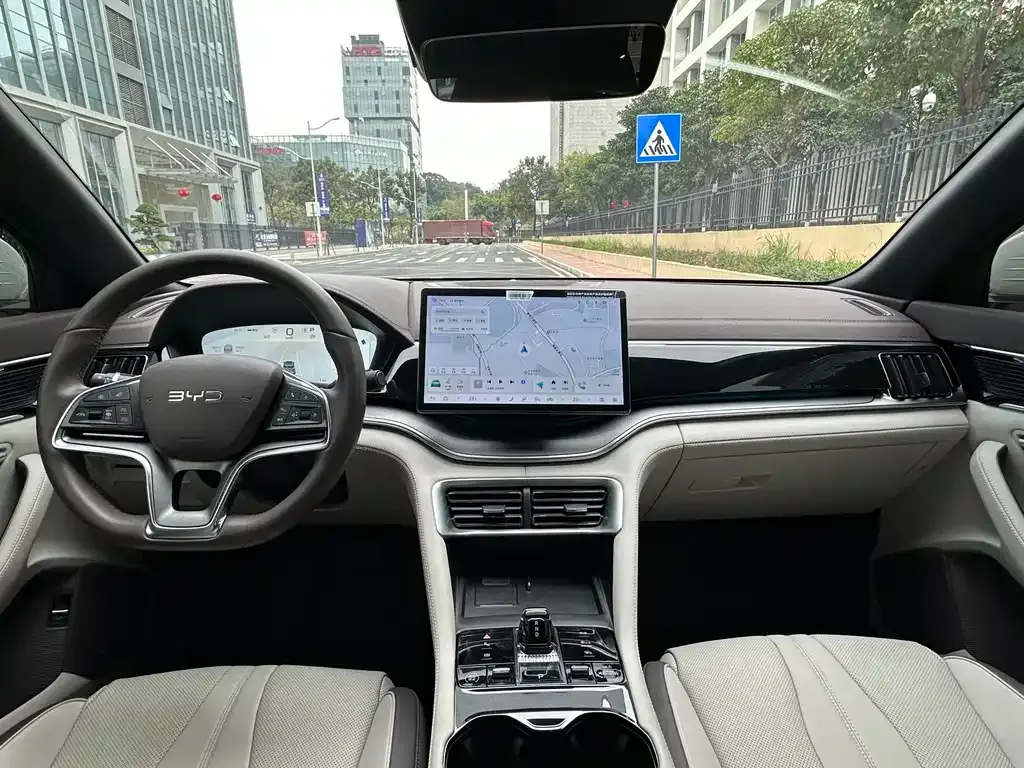 BYD PLUS New Energy 2024 из CN, фото 9