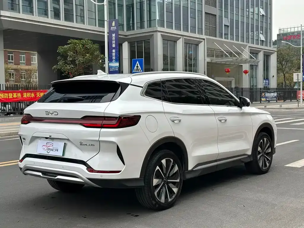 BYD PLUS New Energy 2024 из CN, фото 5