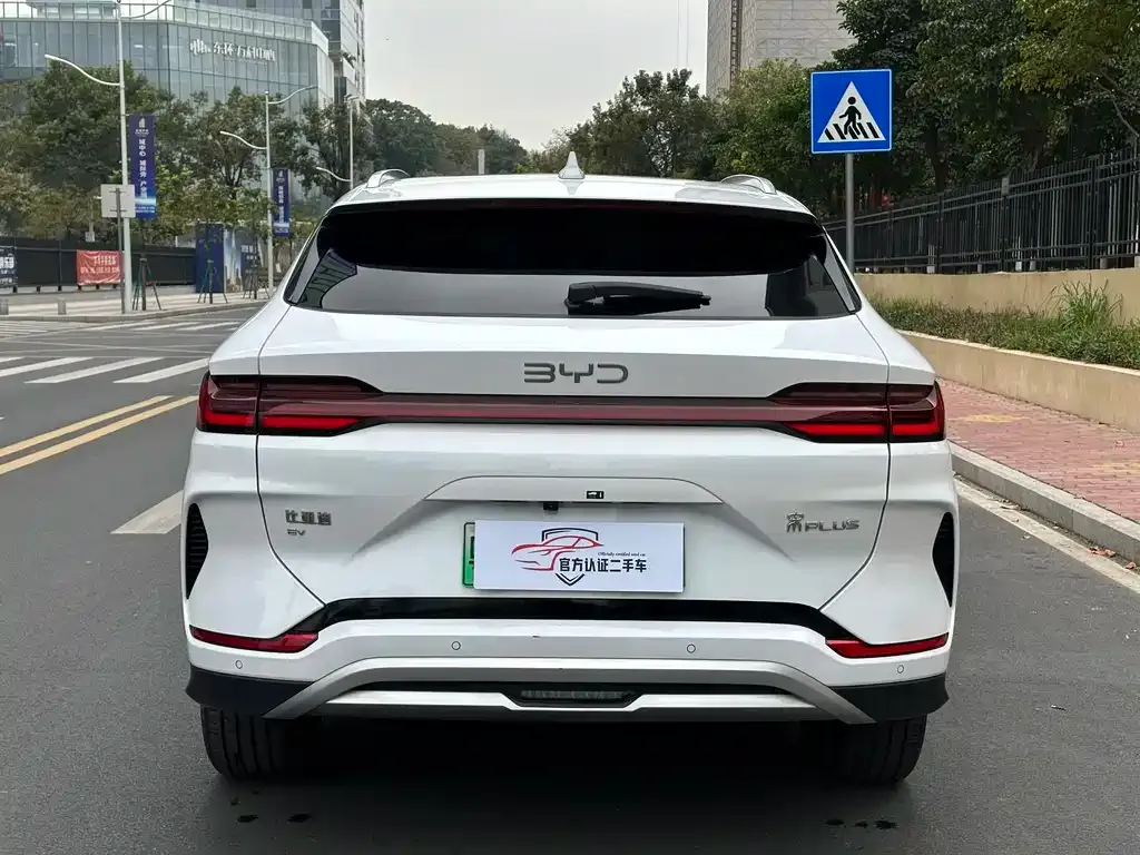 BYD PLUS New Energy 2024 из CN, фото 6