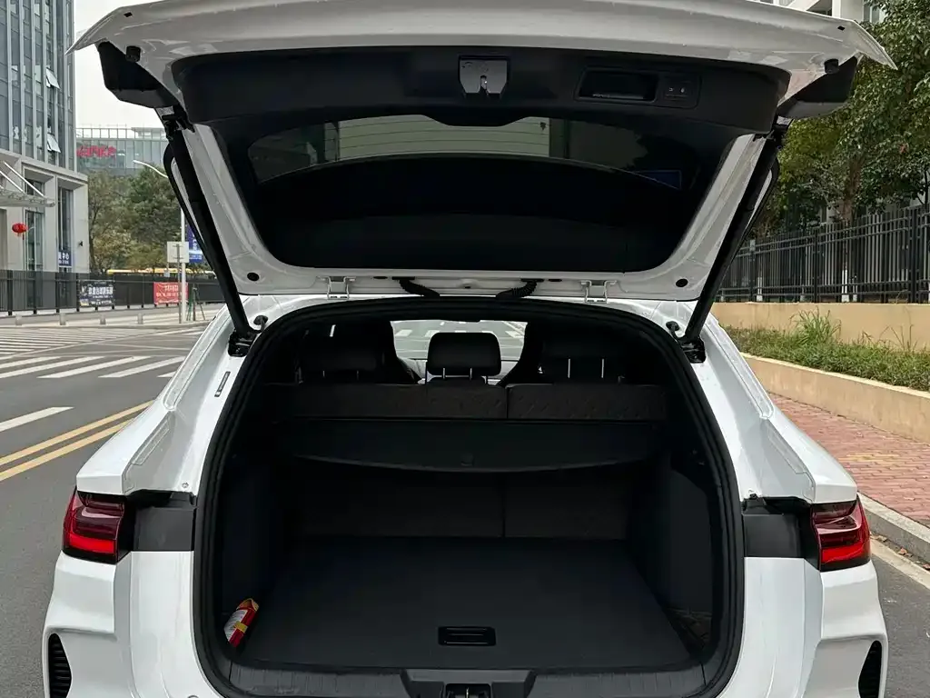 BYD PLUS New Energy 2024 из CN, фото 2