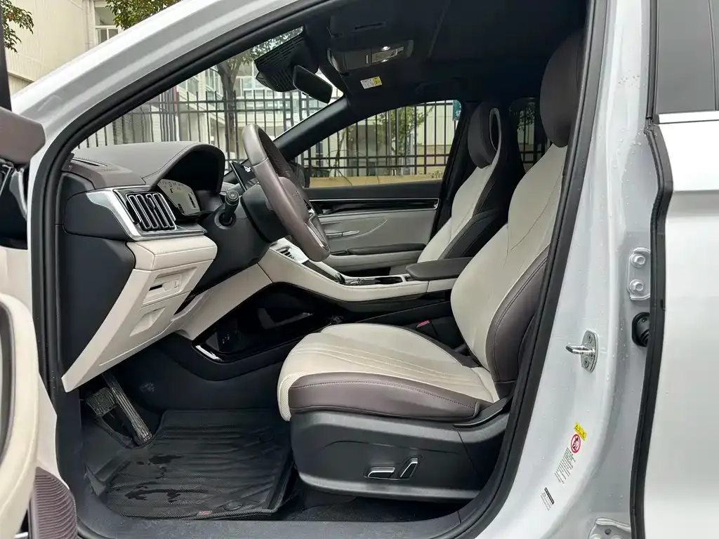 BYD PLUS New Energy 2024 из CN, фото 4