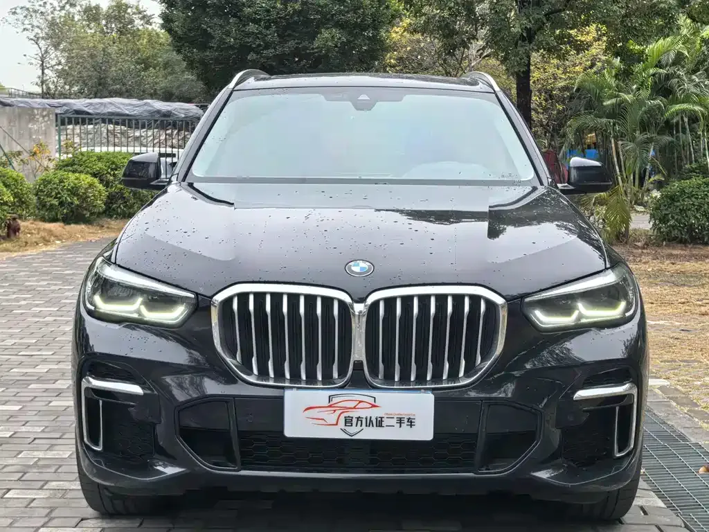 BMW X5 2022 из CN, фото 8