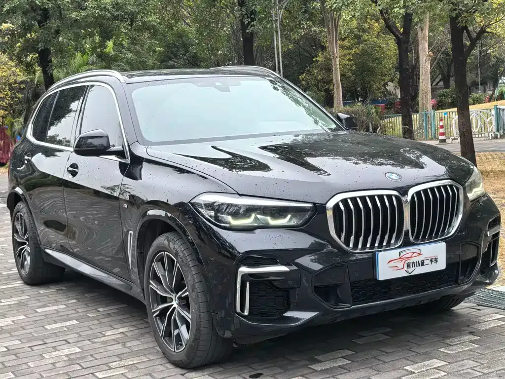 BMW X5 2022 из CN, фото 10
